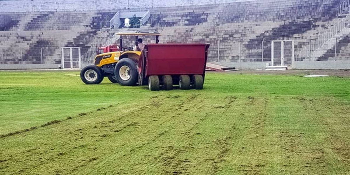 Tapete: gramado do Estádio Olímpico passa por manutenção de empresa especializada