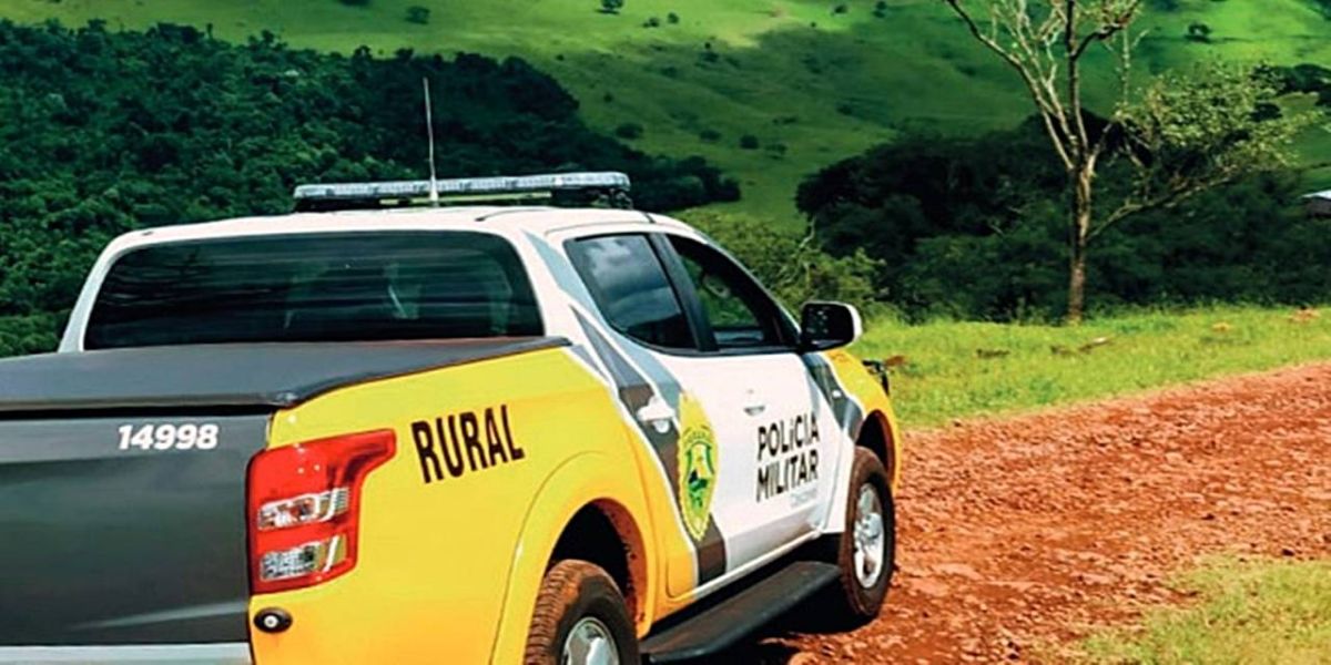 Conselho de Segurança intervém e força-tarefa vai reforçar segurança no campo