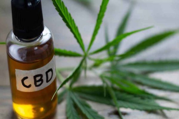 Remédio à base de cannabidiol: vendas online e no balcão têm regras