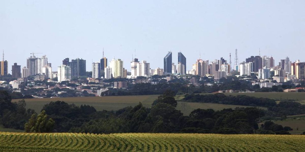 Cascavel é a primeira do Paraná e 4ª melhor do Brasil para negócios agropecuários