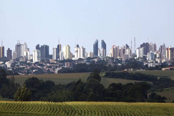 Cascavel é a primeira do Paraná e 4ª melhor do Brasil para negócios agropecuários