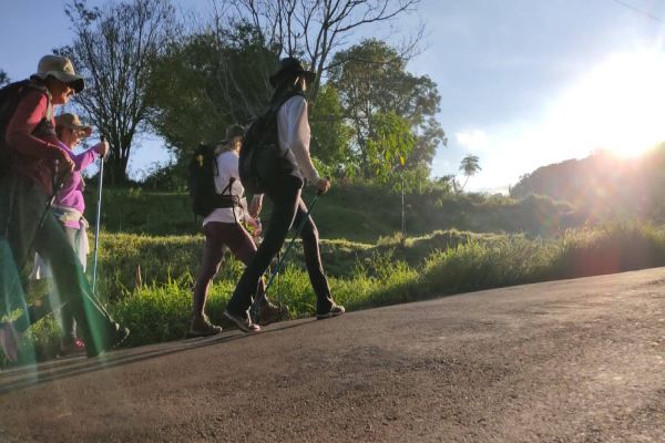 Fé e contato com a natureza: caminhada reuniu 24 peregrinos em Cascavel