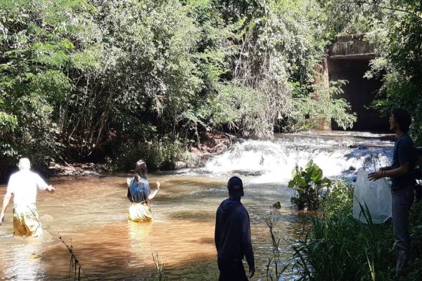 Mananciais de abastecimento de Cascavel recebem novos peixes