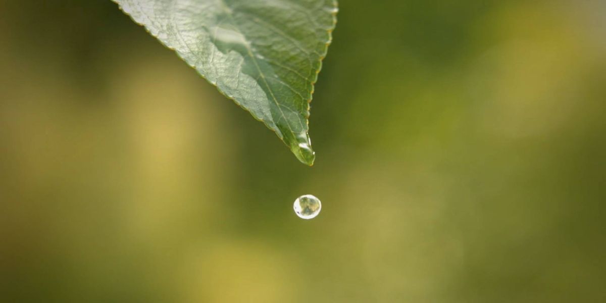 Falta de energia pode interromper o abastecimento em Lindoeste