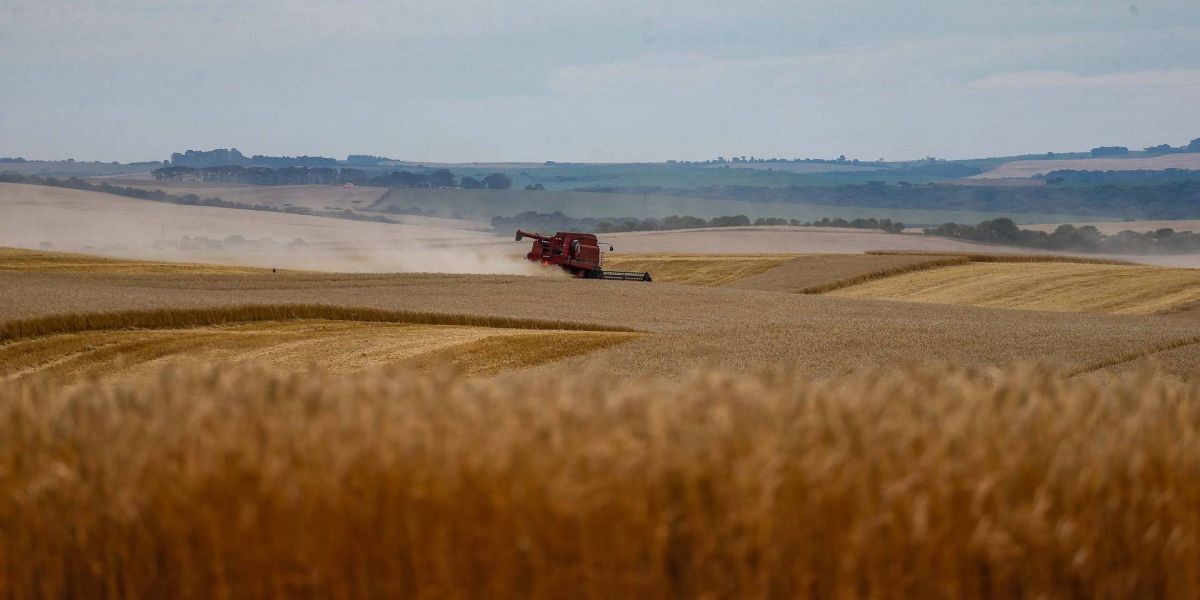Safra de grãos de verão no Paraná pode chegar a 25,61 milhões de toneladas