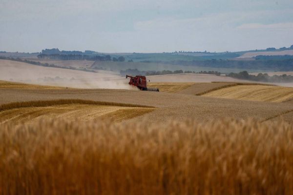 Safra de grãos de verão no Paraná pode chegar a 25,61 milhões de toneladas