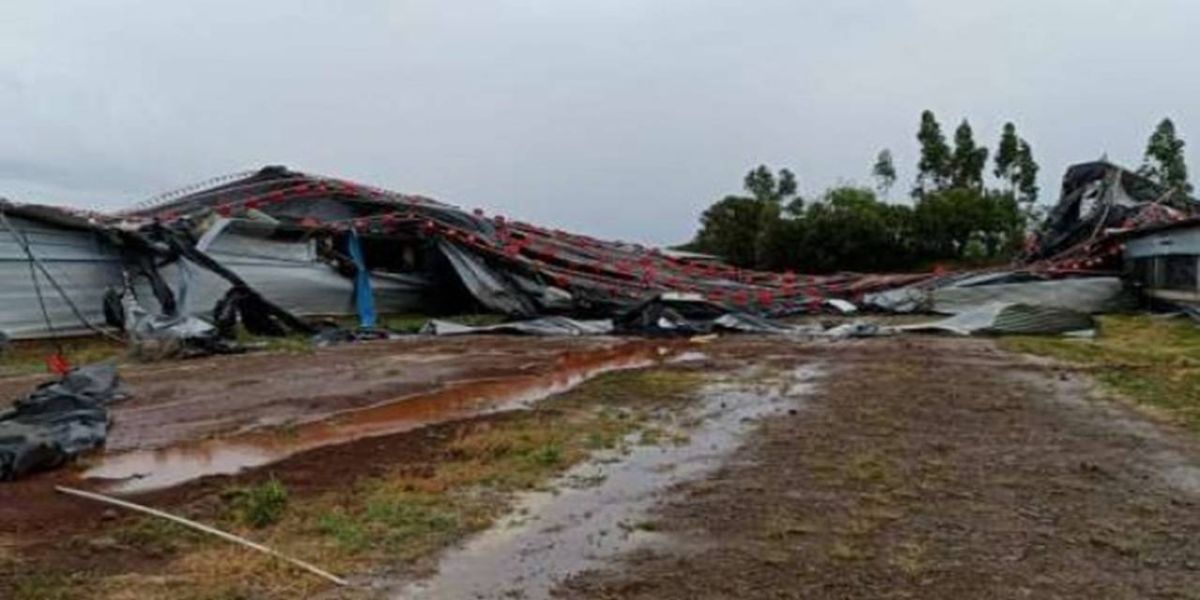 Aviários são destruídos durante temporal em Ampére