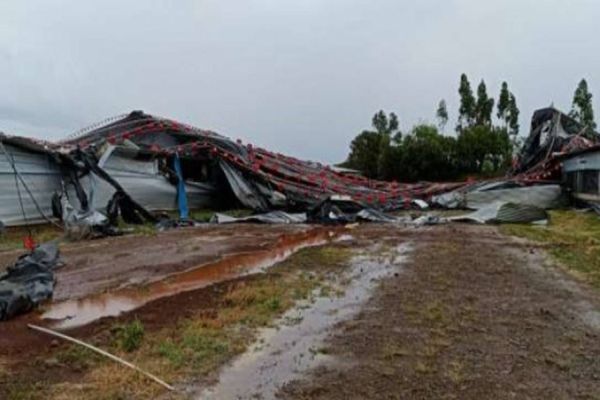 Aviários são destruídos durante temporal em Ampére