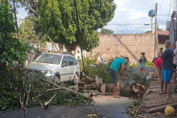 Temporal deixa vários estragos na região oeste do Paraná