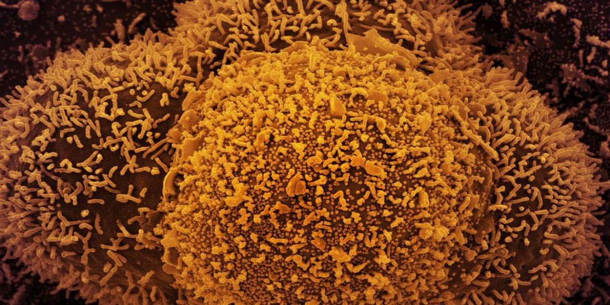 Ômicron: Botsuana diz que maioria dos casos no país é assintomática