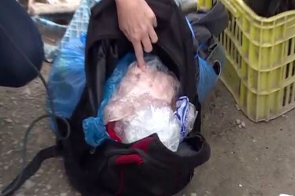 Mulher descongela geladeira e encontra corpo de bebê que estava escondido em sacola em BH