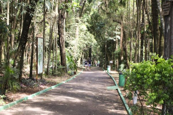 Mês de novembro fecha com mais de 20 mil visitantes no Zoológico de Cascavel
