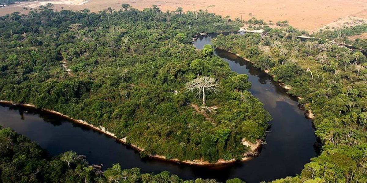 CMA e CRA podem votar projeto que altera licenciamento ambiental   Fonte: Agência Senado