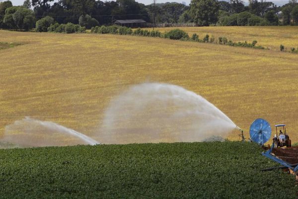 Em seis meses, Banco do Agricultor Paranaense ajudou 1.235 projetos do campo