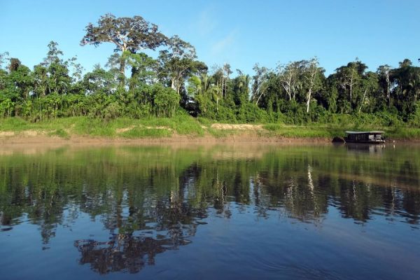 Sicredi neutraliza Emissões de Gases de Efeito Estufa