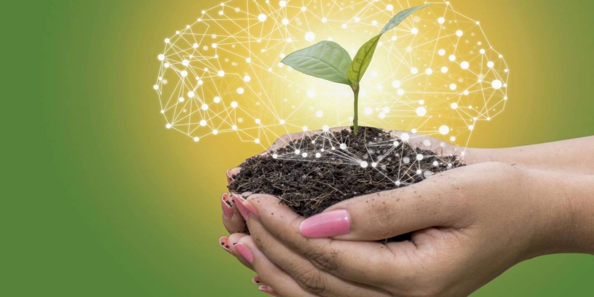 Inteligência artificial e cibersegurança se tornam diferenciais também para o agronegócio