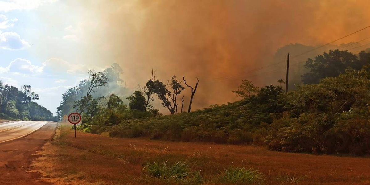 Temporada de incêndios está aberta na região oeste do Paraná: Vamos redobrar os cuidados