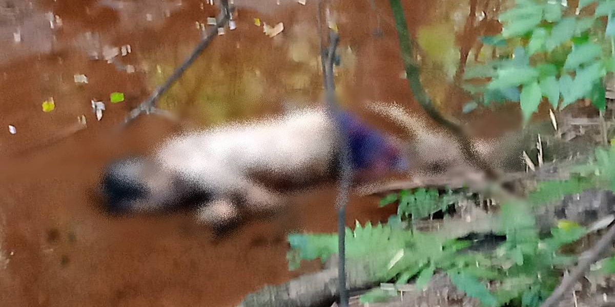 Cadáver é encontrado no bairro Água Verde em Laranjeiras do Sul