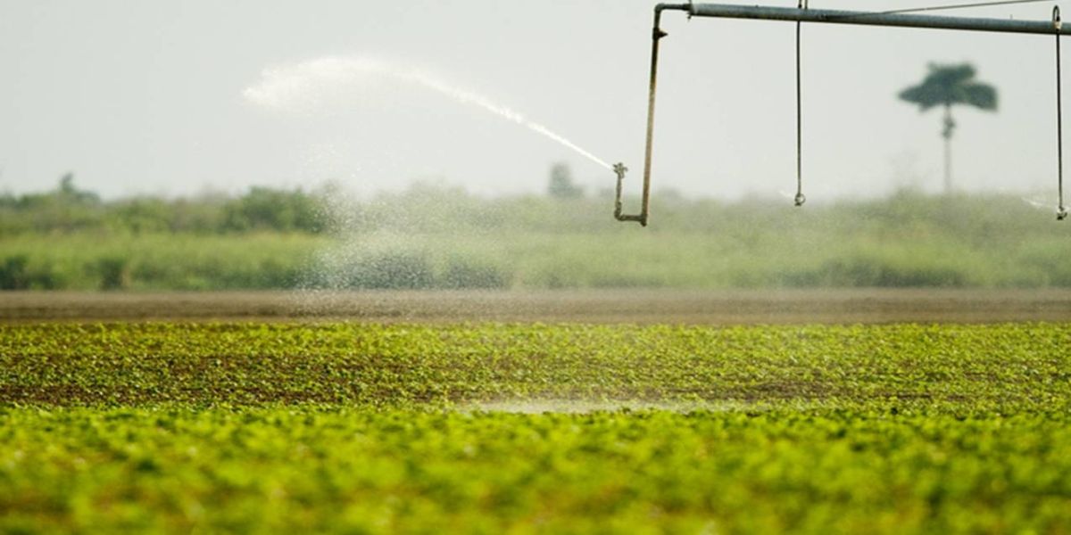 Agronegócio brasileiro mantém otimismo para 2022, avalia CEO da Pivot