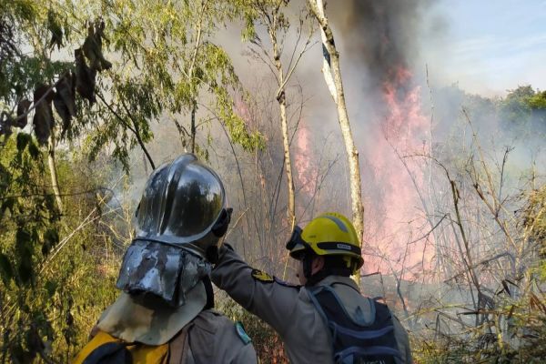 Imagem referente a notícia: Operação de Combate a Incêndios Ambientais atua em novos focos em Quedas do Iguaçu