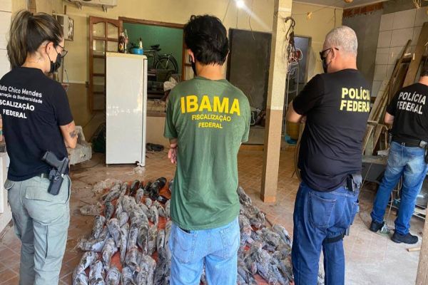 Imagem referente a notícia: PF e ICMBio apreende quase 200kg de peixes protegidos por lei em mercado de Foz do Iguaçu