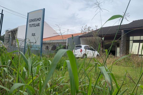 Conselho Tutelar Sul está escondido em meio ao mato