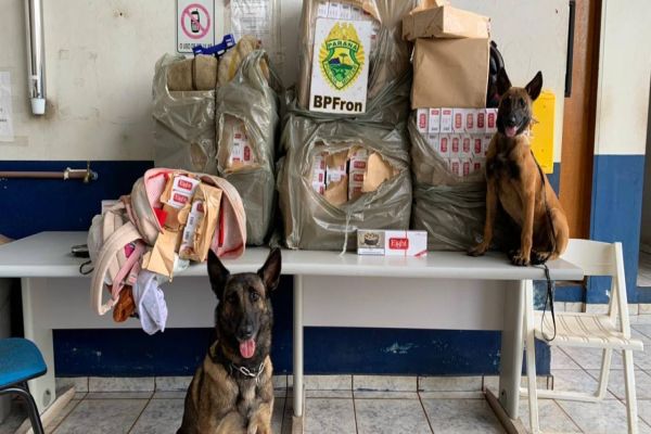 BPFRON apreende cigarros contrabandeados em Cascavel