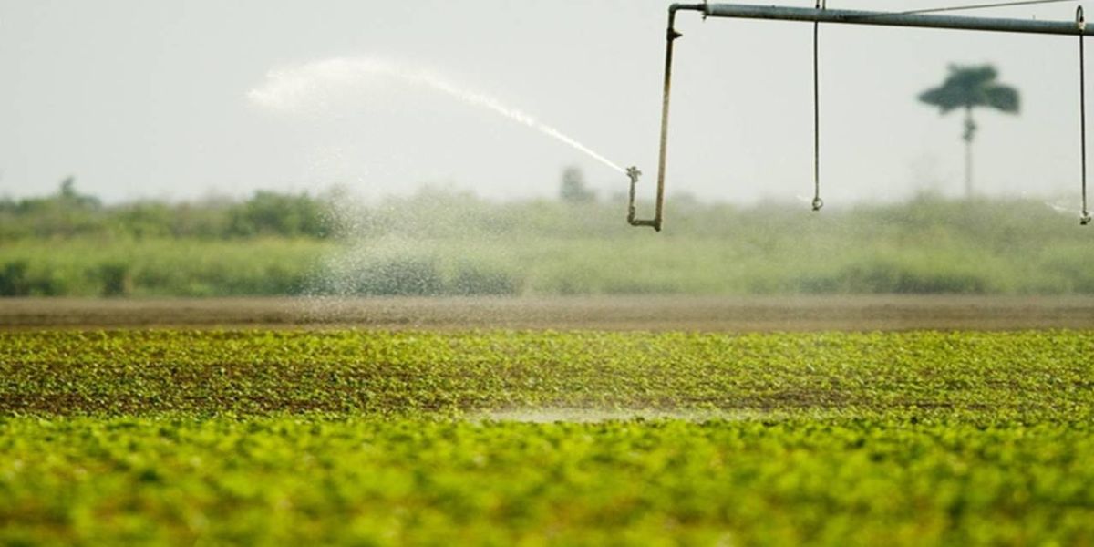 Agronegócio brasileiro mantém otimismo para 2022
