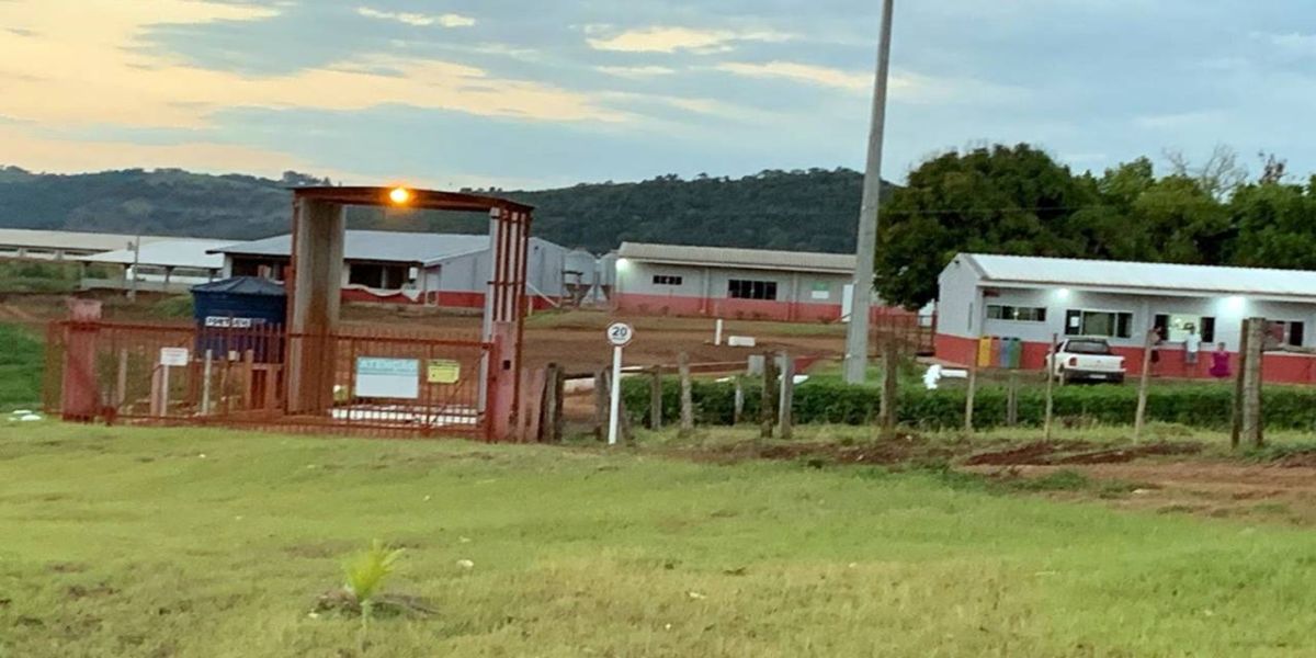 Duas pessoas morrem dentro de cooperativa de suinocultura no Distrito de Juvinópolis