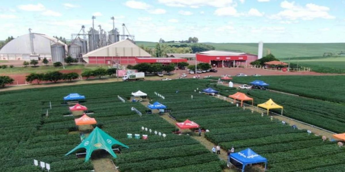 Dia de campo traz novidades a produtores rurais de Braganey e Iguatu