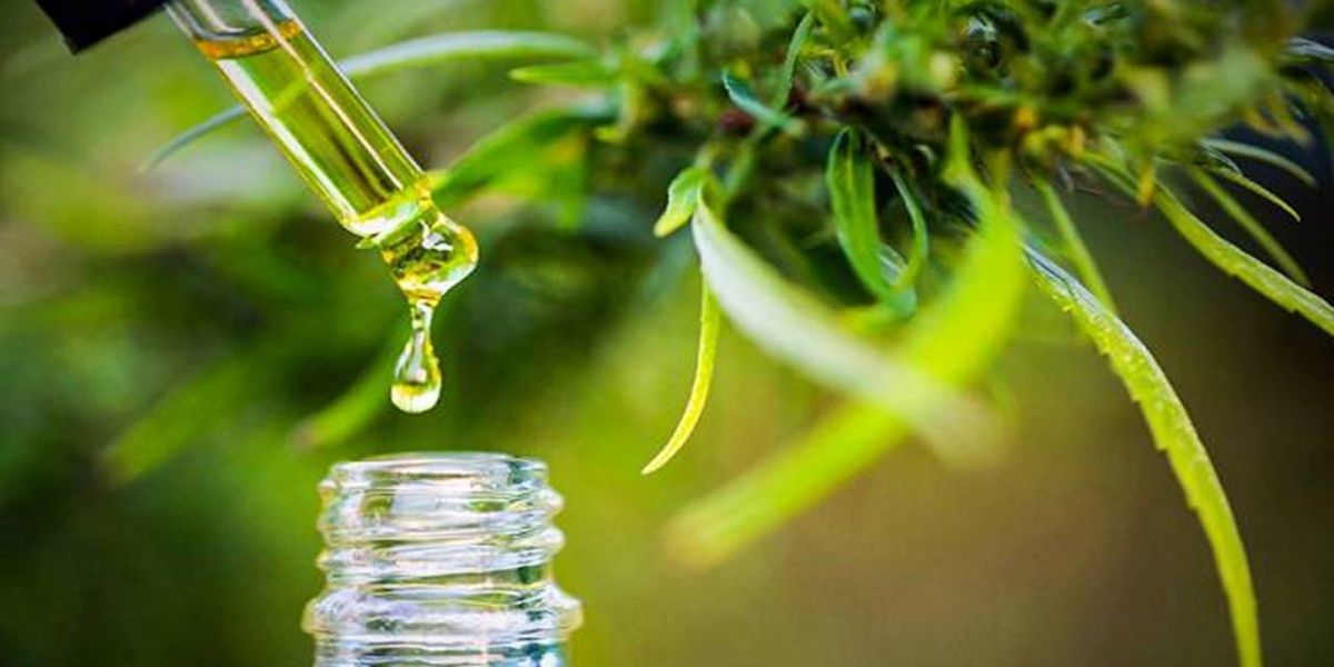 Brasil importou mais de US$ 5 milhões em óleo de canabidiol em 2021