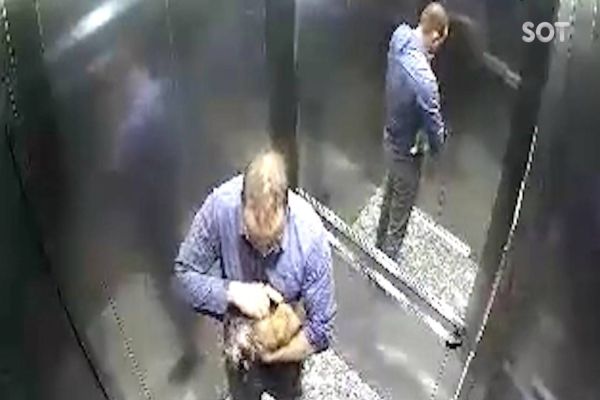 Imagem referente a notícia: Imagens de câmeras de segurança mostra médico tentando reanimar cachorro após agressão