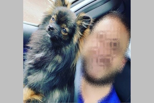 Clínica lamenta caso envolvendo médico em denúncia de violência animal e apoia investigação rigorosa