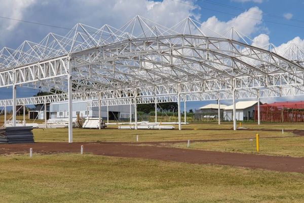 Show Rural Digital traz novidades para toda a cadeia do agronegócio