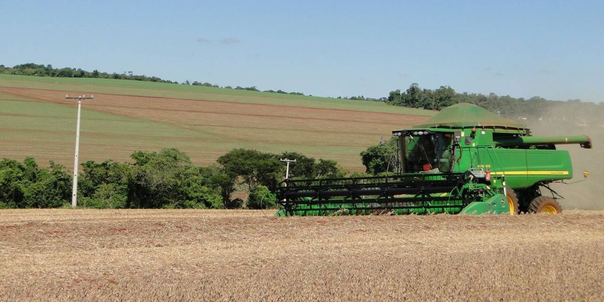 Copel orienta agricultores sobre prevenção de acidentes na colheita e plantio