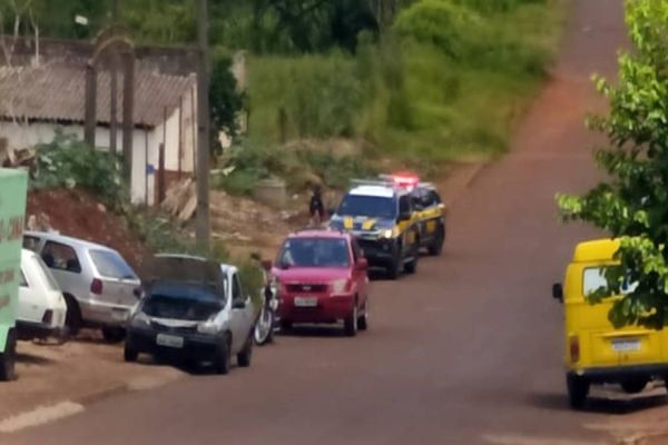 PRF é acionada na BR-277 por conta de animais soltos as margens da rodovia