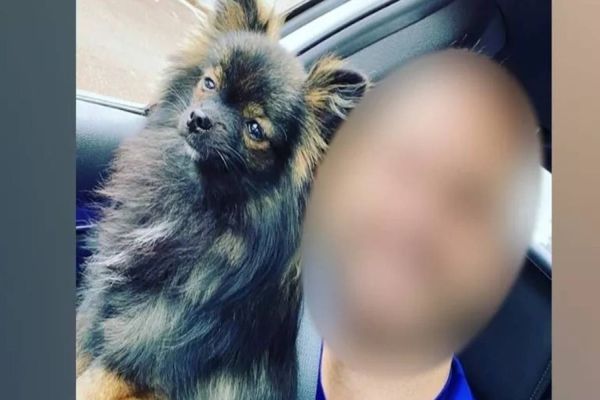 Médico acusado de maus tratos passa por audiência de custódia e é liberado sem fiança