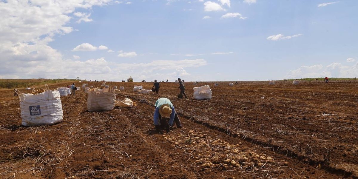De R$ 1.617,00 a R$ 1.870,00: Paraná terá maior salário mínimo do País em 2022