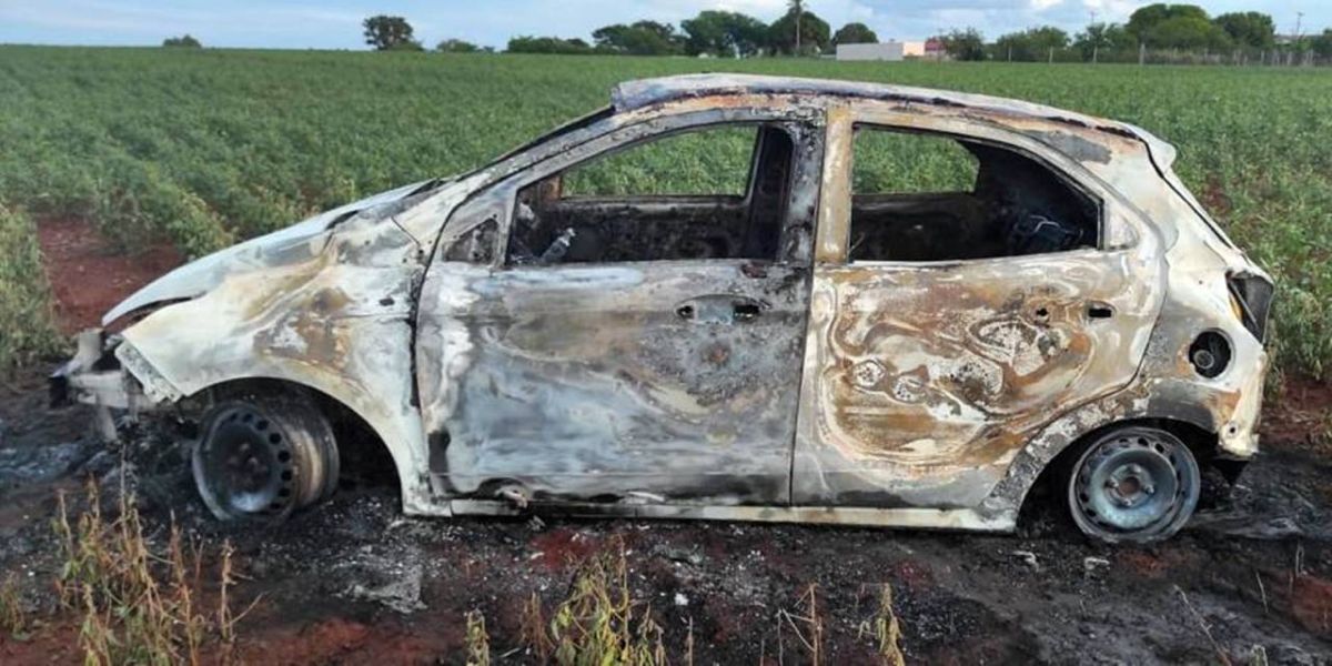 Carro pega fogo após capotamento na PR-364 em Terra Roxa