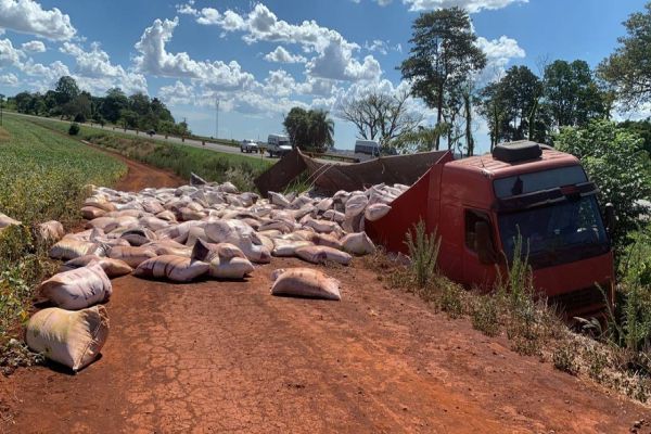 Imagem referente a notícia: Motorista perde o controle da direção, sai da pista e tomba carreta às margens da BR-369 em Cascavel