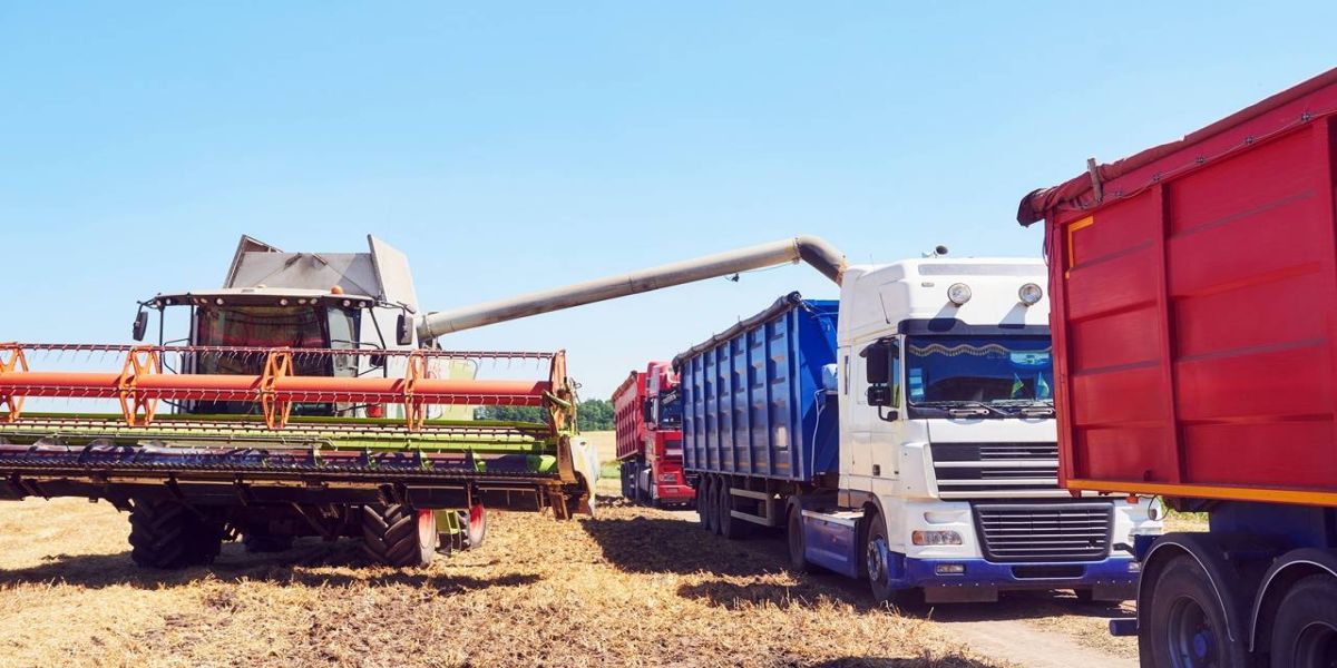 Transporte incorreto da soja causa prejuízo de milhões de reais anualmente