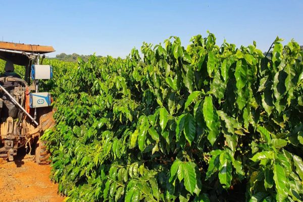 Startup agro é selecionada em programa de aceleração internacional