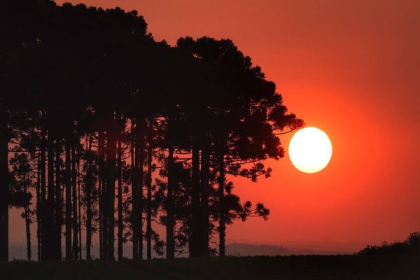 “Calorão” faz Paraná ultrapassar 40° C; cidades registram recordes históricos