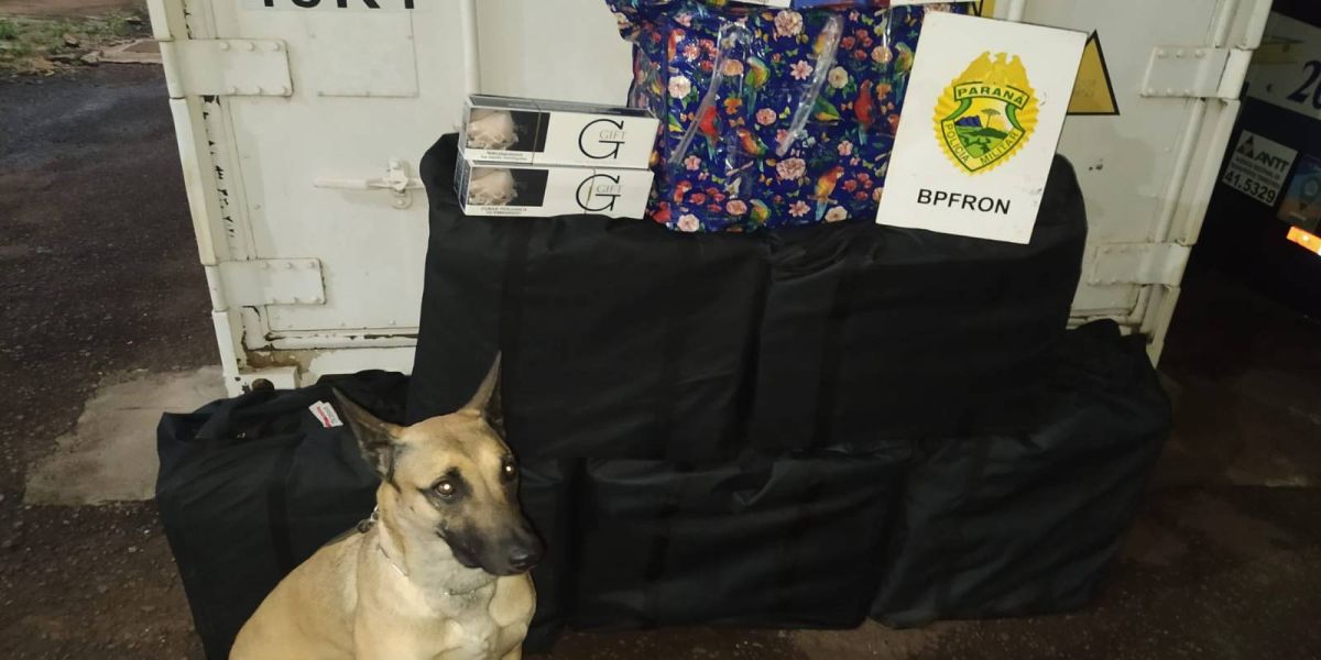 BPFRON apreende cigarros contrabandeados na rodoviária de Cascavel