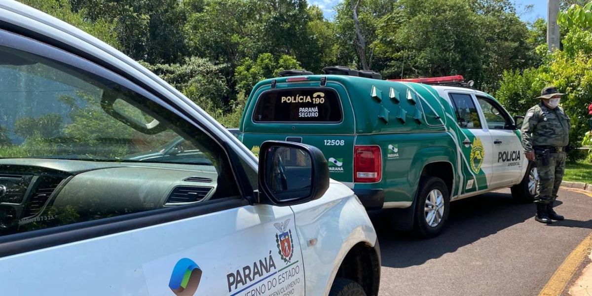IAT e Polícia Ambiental resgatam 60 aves nativas no Sudoeste