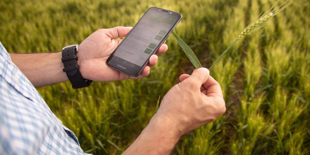 Tecnologia para gestão de dados agronômicos transforma a condução de ensaios a campo