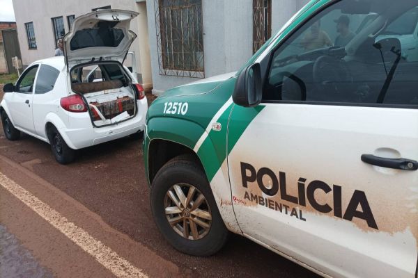Polícia Ambiental realiza apreensão de 138.9 kg de maconha no Distrito de Juvinopolis