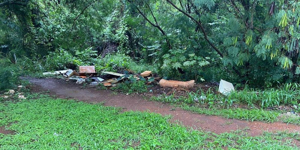 Meio Ambiente orienta sobre descarte de resíduos e volumosos