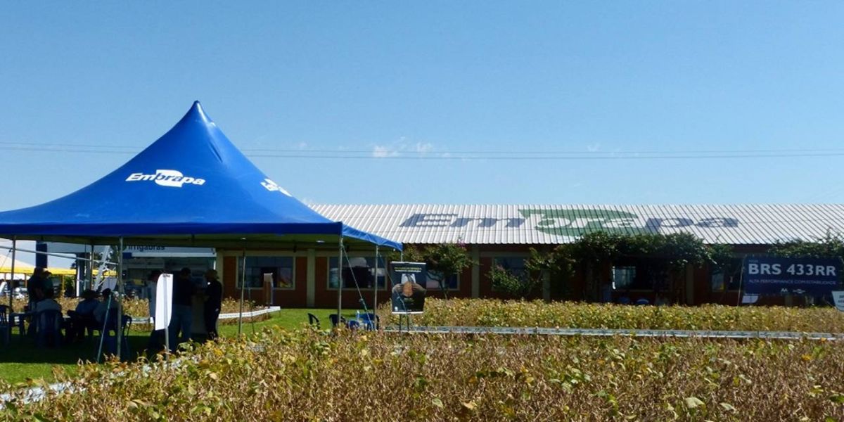 Embrapa lança novas tecnologias durante o 34º Show Rural Coopavel