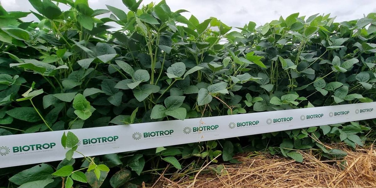 Show Rural terá lançamentos da Biotrop para soja e pastagens